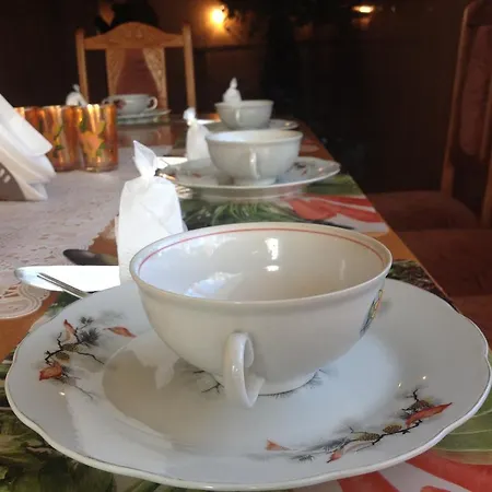 Taemnytsya Gir ヤシニャ